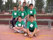 amis33