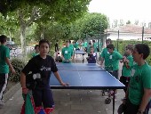 amis36