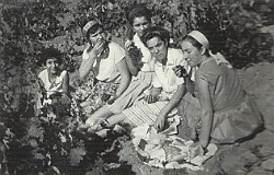 c13