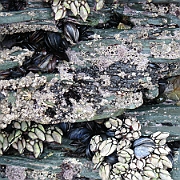 P1060333