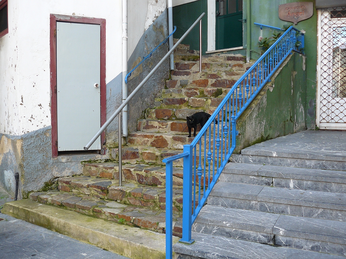 P1060388