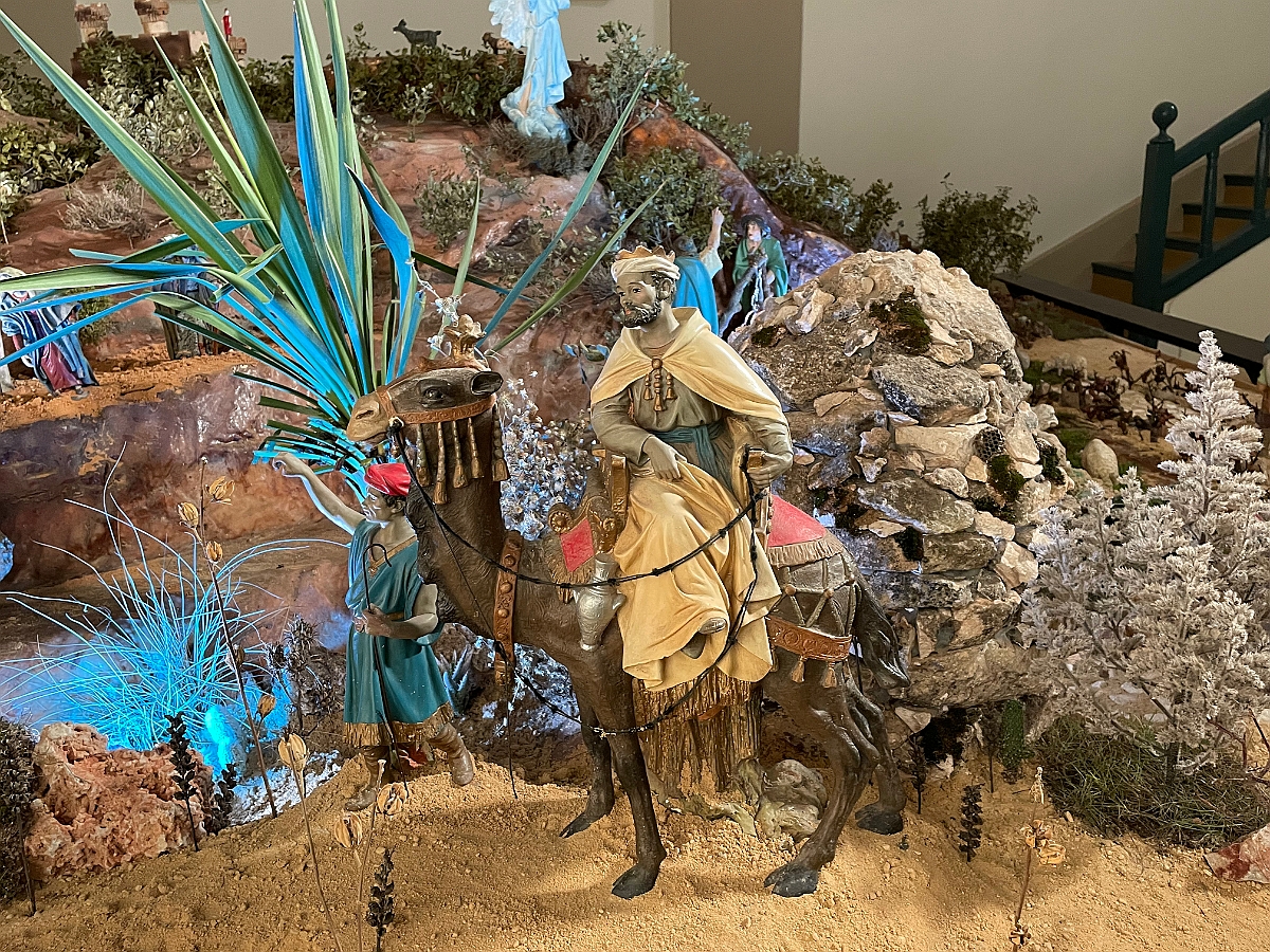 IMG-1781