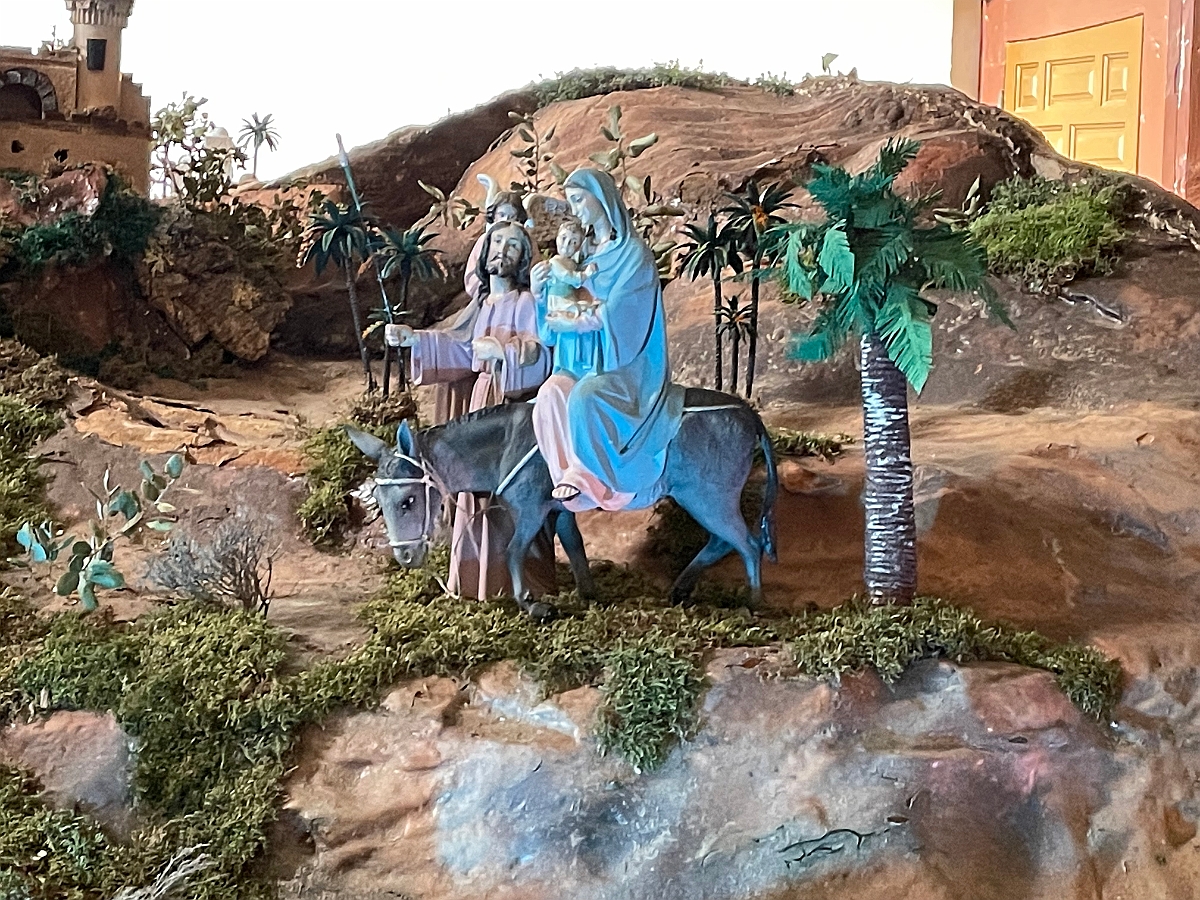 IMG-1791