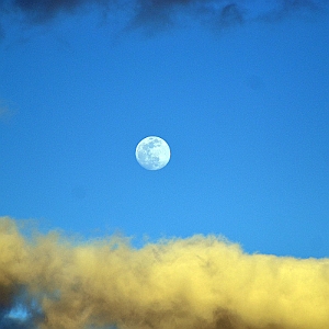 39