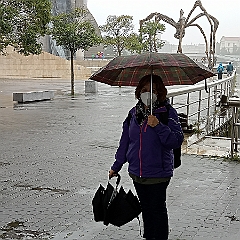 IMG20211005112644