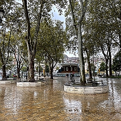 IMG_1156