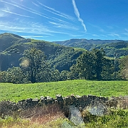 IMG_1227