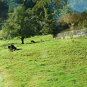 P1060067