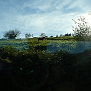 P1060074