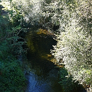 P1060091