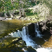 P1060101