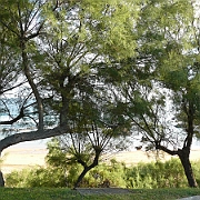 P1050820