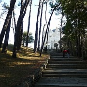 P1050832