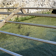 P1050857