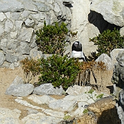 P1050862