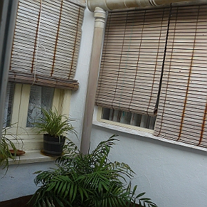 P1040503