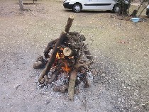 IMG_4136