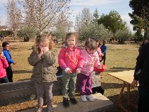 IMG_4099