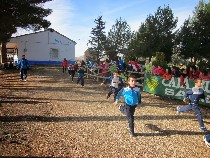 IMG_4028