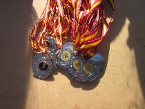 IMG_3959