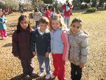 IMG_3951