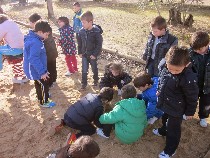 IMG_3948