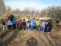 2F12054D