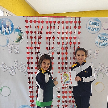 23