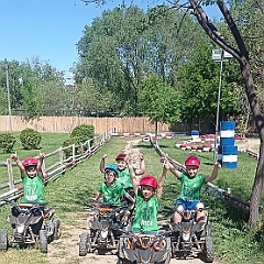 43