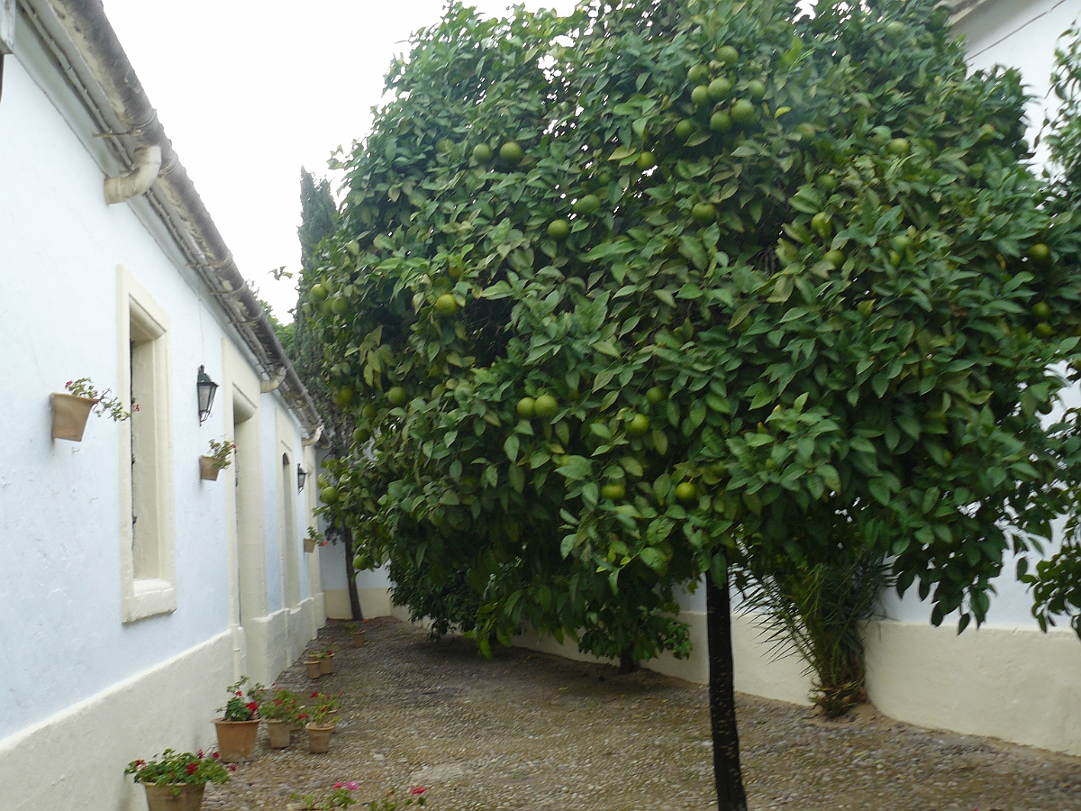 P1060891