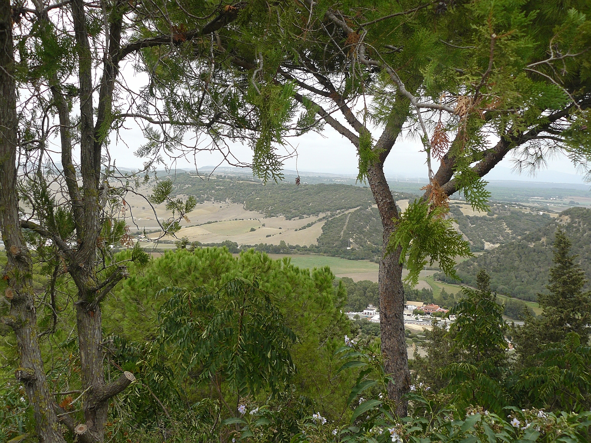 P1060785