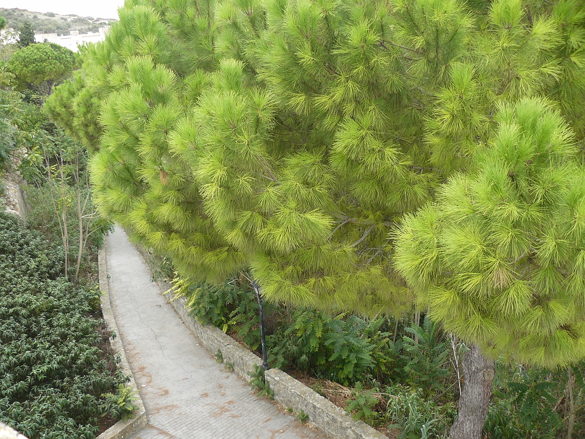 P1060786