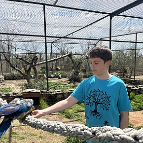 37