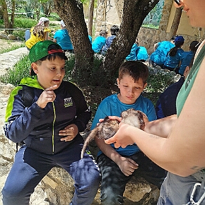 53