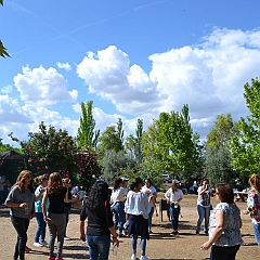 113
