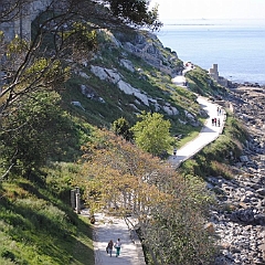Foto-5.-Paseo-do-Monte-Boi-Turismo.gal_-1024x685