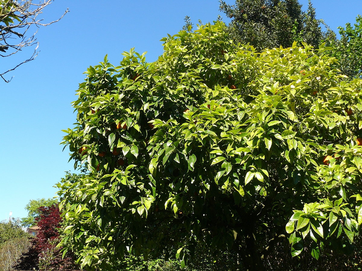 P1080146