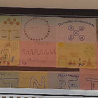 43