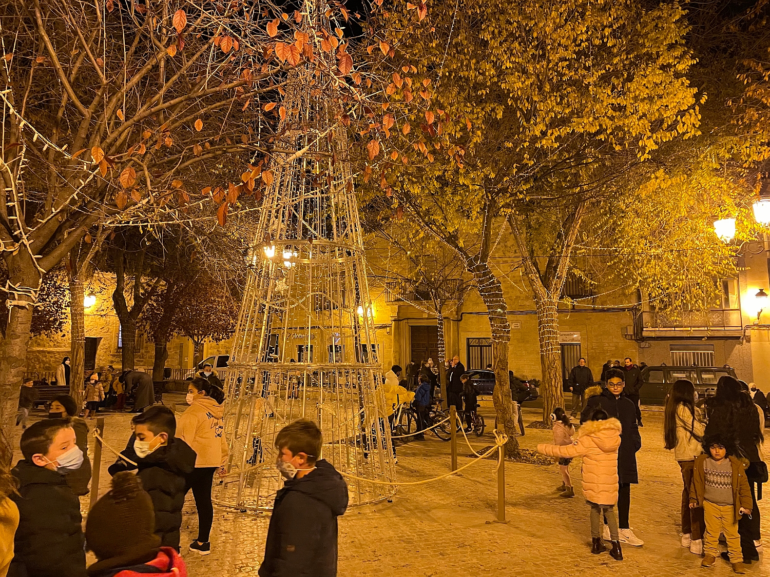 IMG-1513