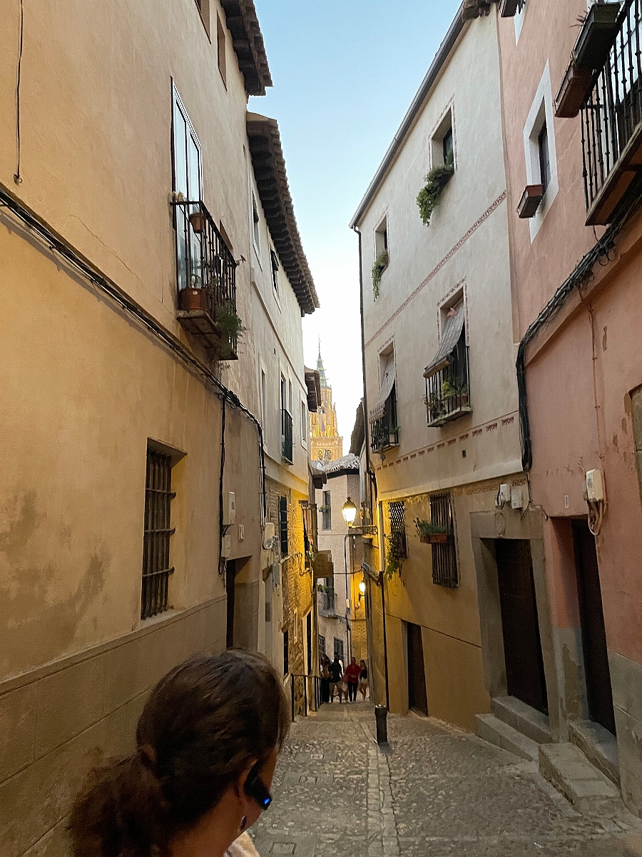 IMG-6595