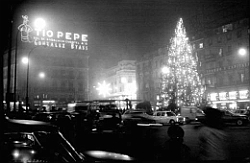 336_mp