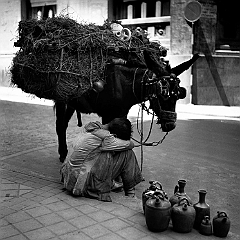 Botijero 1952