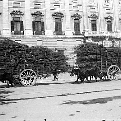 Palacio Real