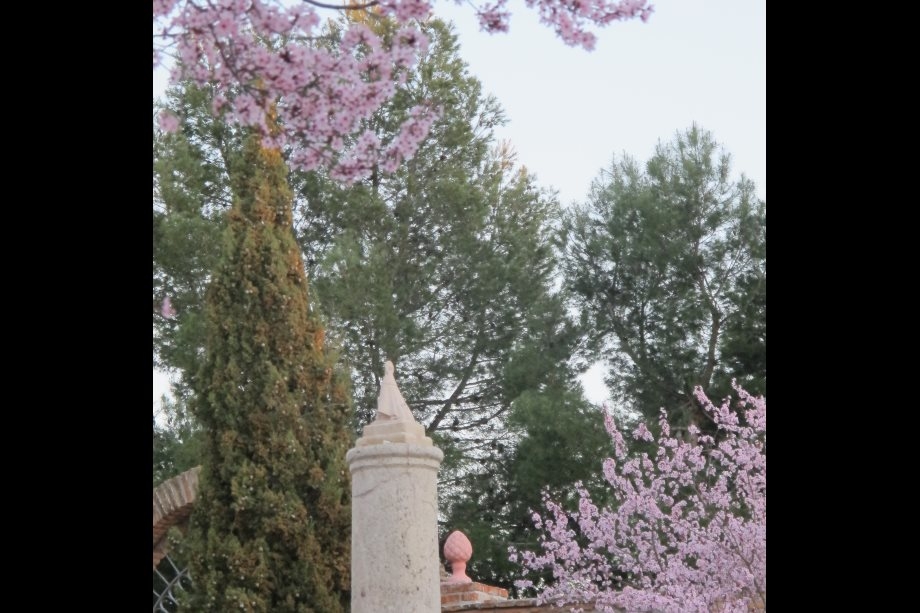p_0004