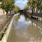 IMG-4502
