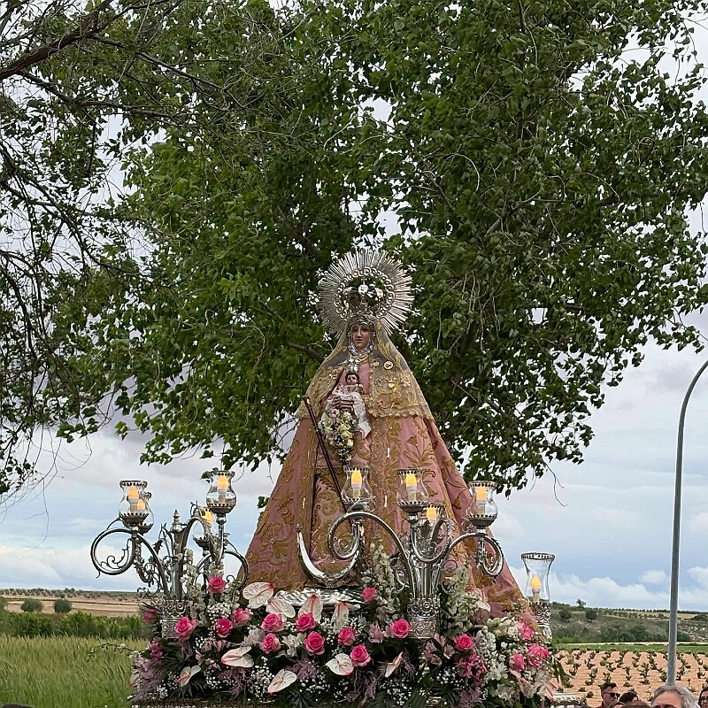 31