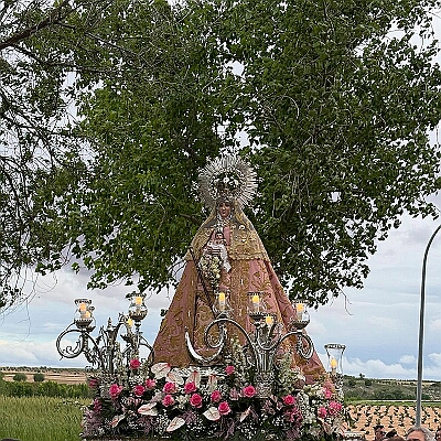31