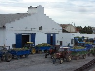 Paciencia, esto es así