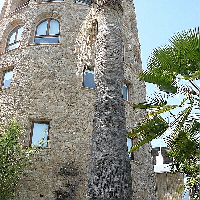 P1090002