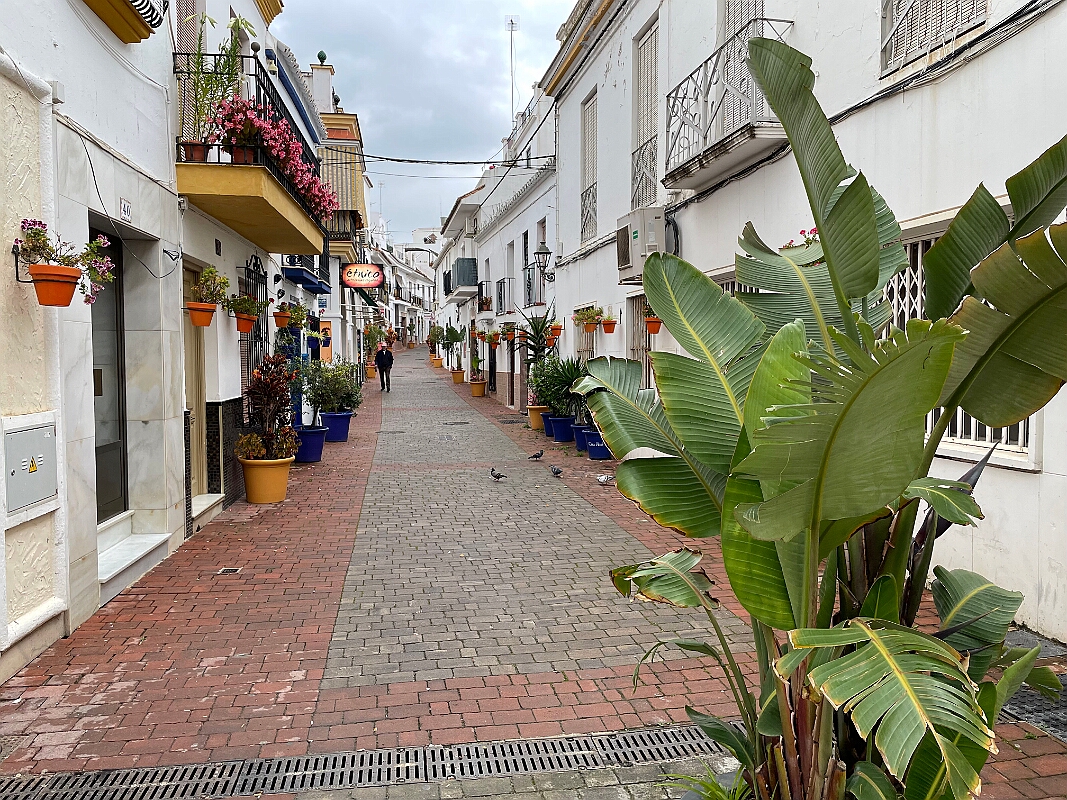 IMG_1861